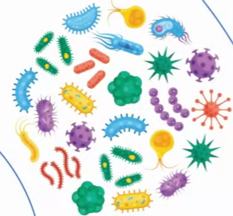 Caspase-3 Colorimetric Assay Kit, 100 as