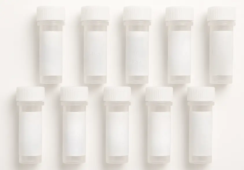 CMTM2 293T Cell Transient Overexpression Lysate(Denatured)