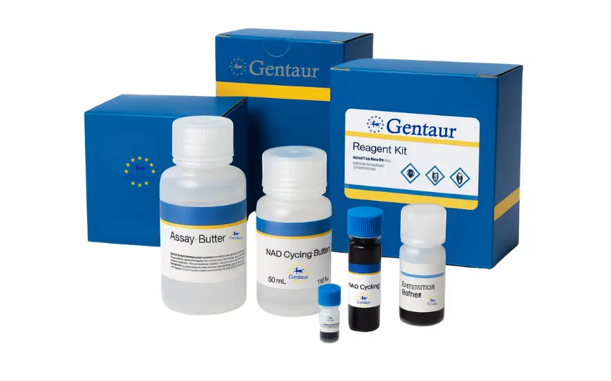 QuantiChrom™ Creatinine Assay Assay 500