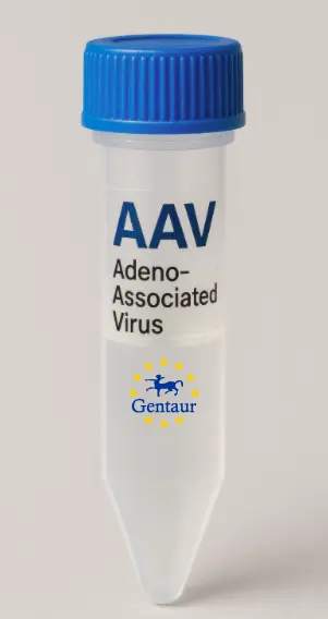 Ces2g AAV Vector (Mouse) (CMV)